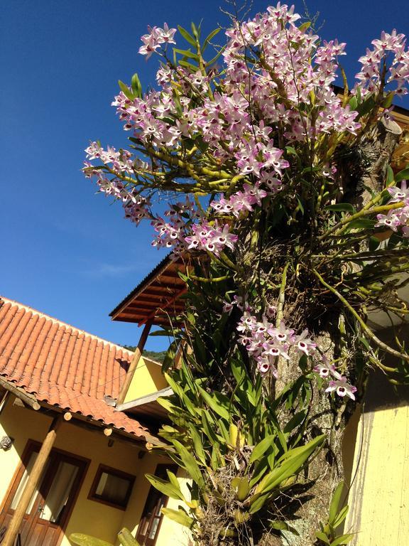 Morada Do Gabriel Hotel Guarda do Embaú Eksteriør billede